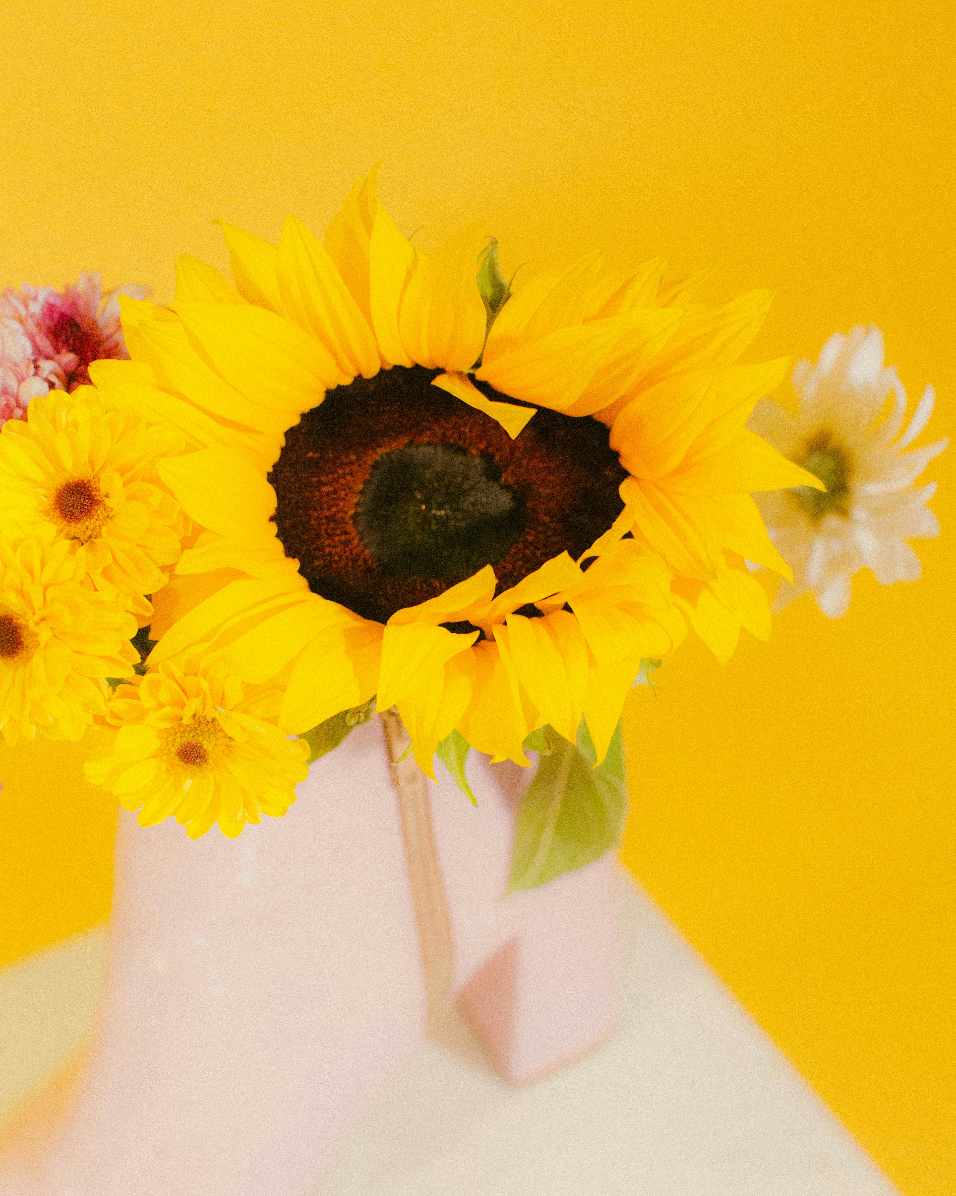 Photo by oscareduardohr