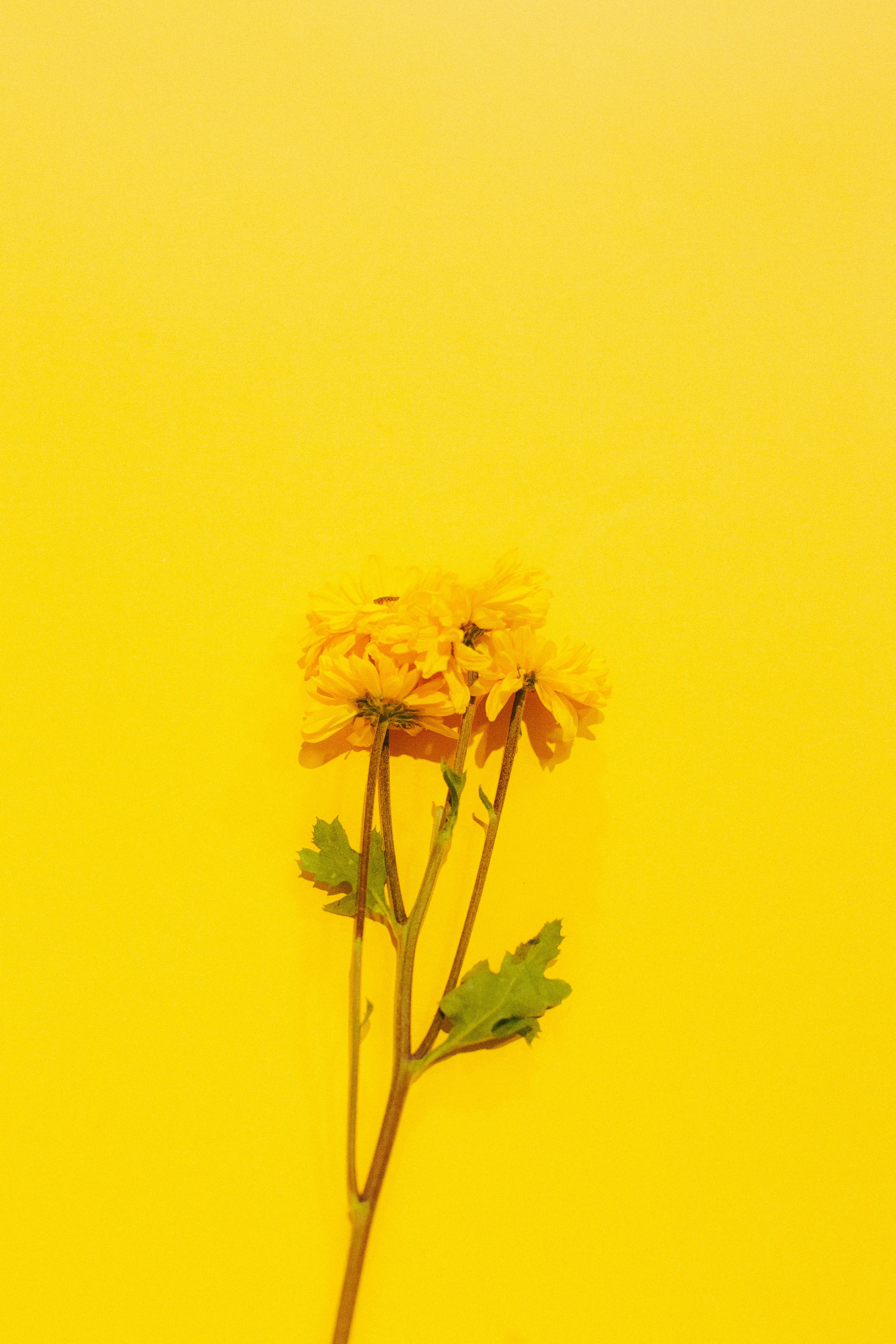 Photo by oscareduardohr