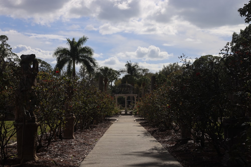 a walkway in a park lined with trees and bushes