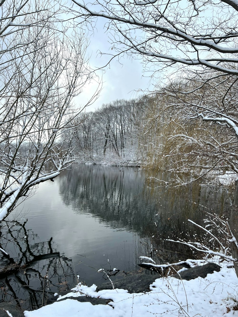ein See, umgeben von schneebedeckten Bäumen