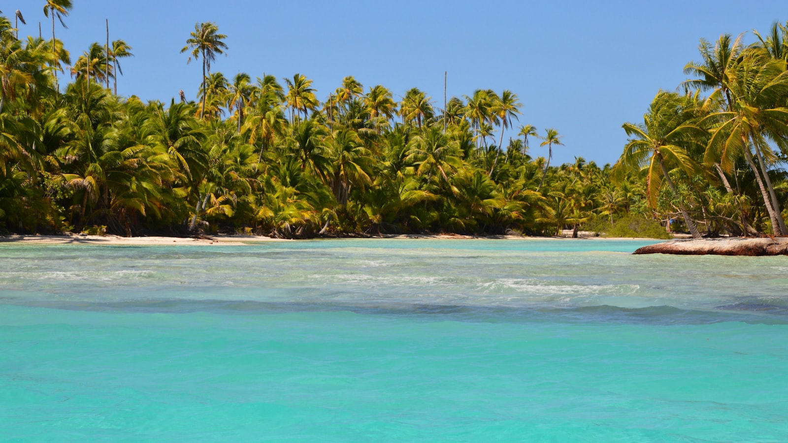 Turquoise Bahamas ocean with white sand beach and palm trees