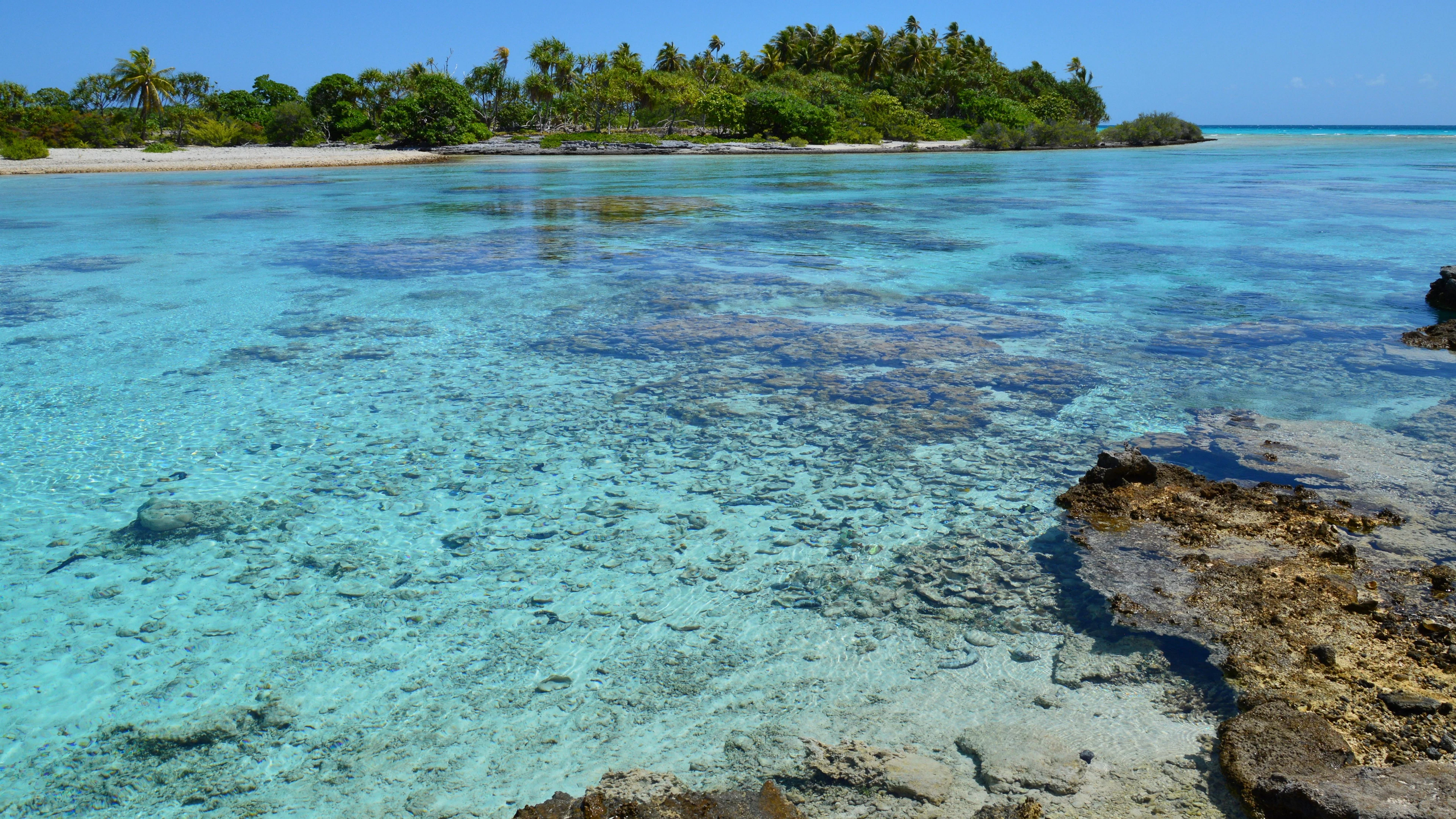 A palm-covered motu and clear turquoise water over coral shallows on Rangiroa atoll