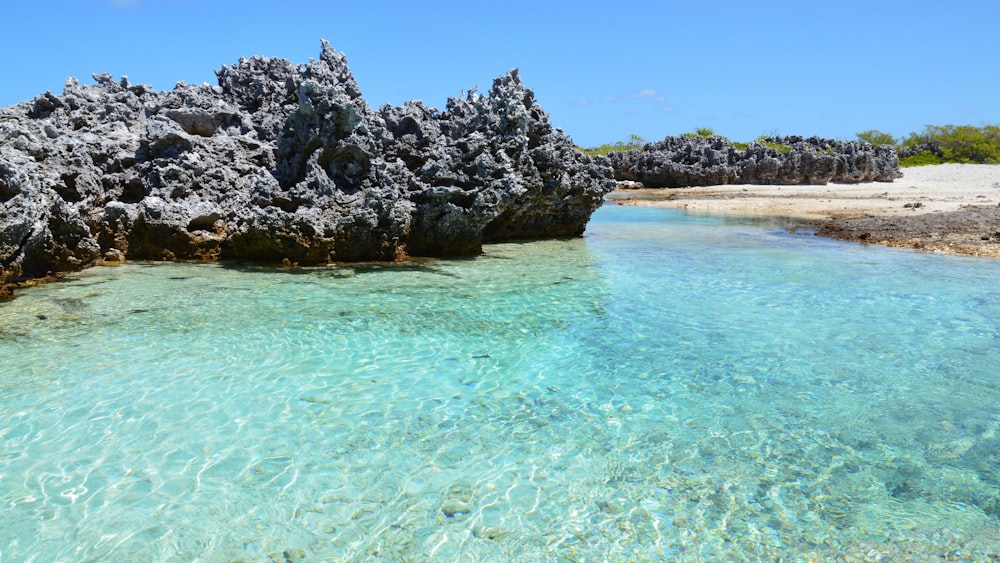 a body of water surrounded by rocks and trees