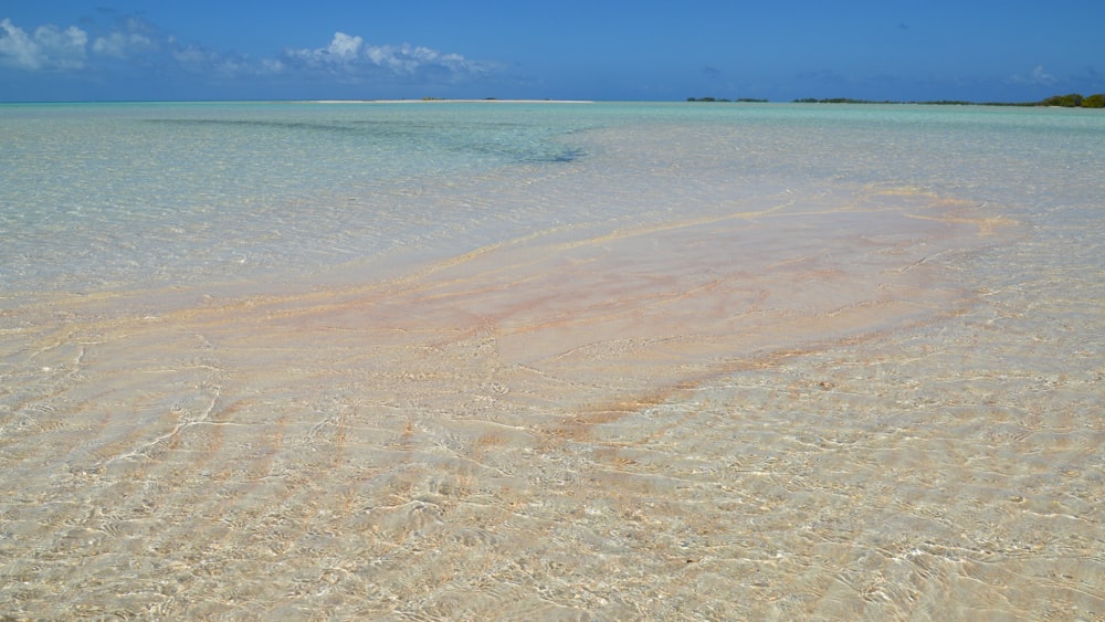 a body of water that has some sand in it