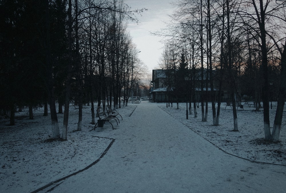 a snowy path in a park with a building in the background