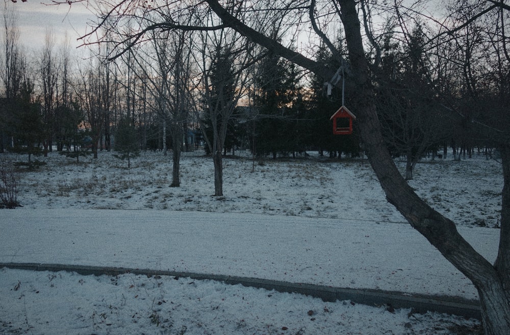 a snow covered field with a red house in the distance