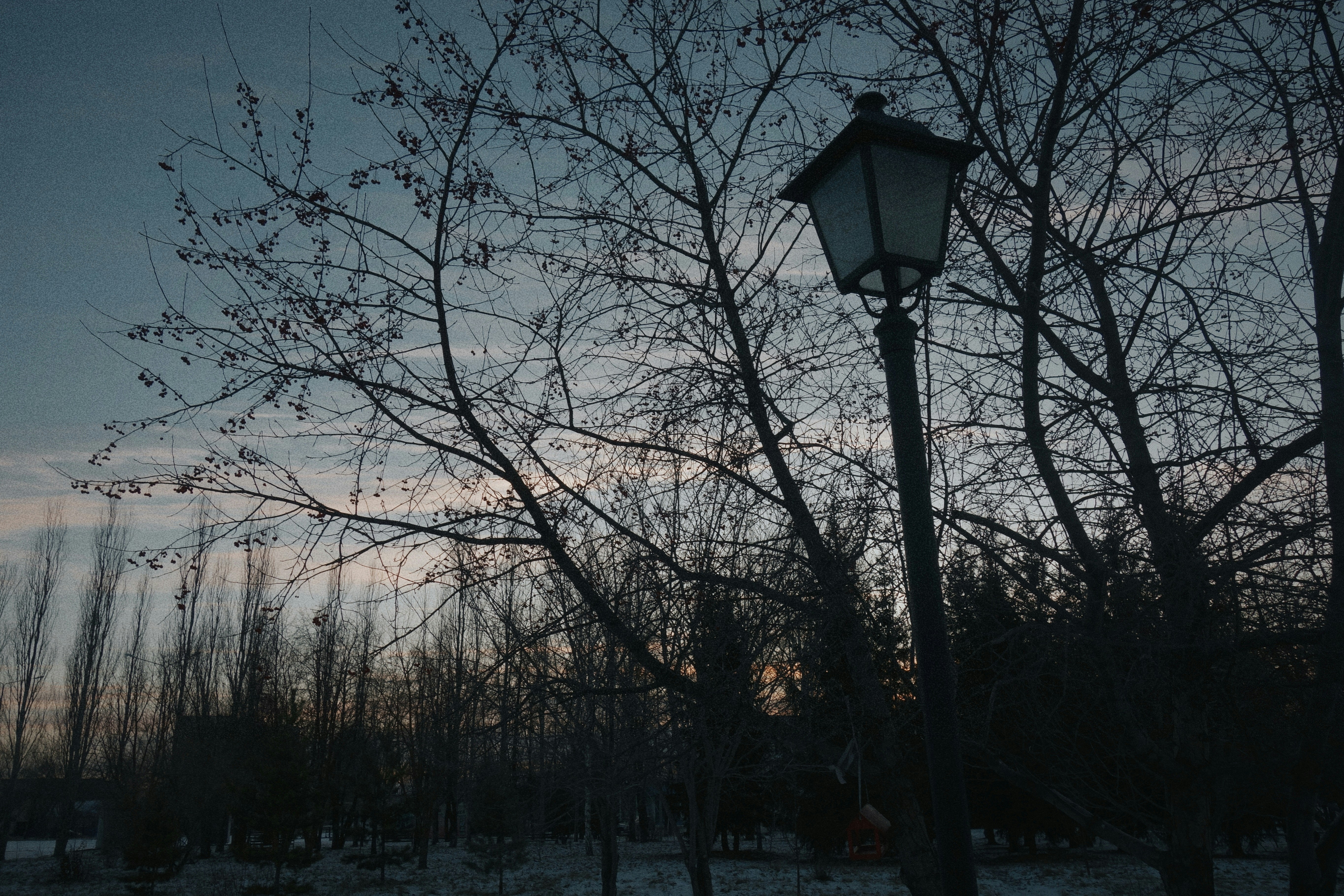 Photo by eugenemagia