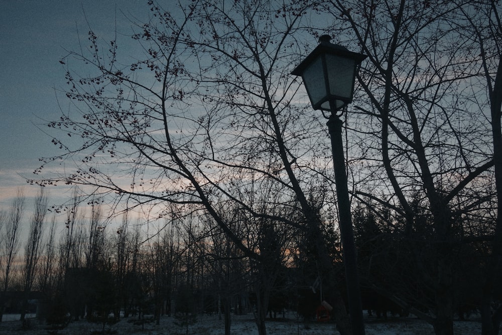 a street light sitting next to a tree