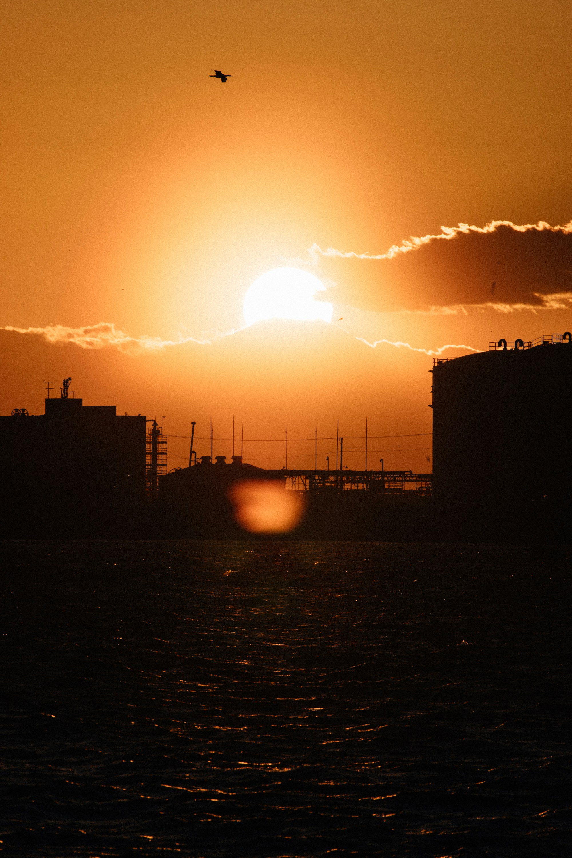 Photo by tsuyoshikozu