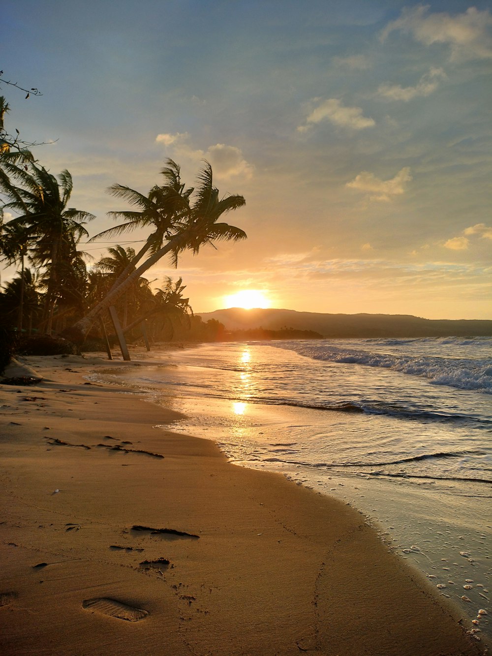 a beach with palm trees and the sun setting