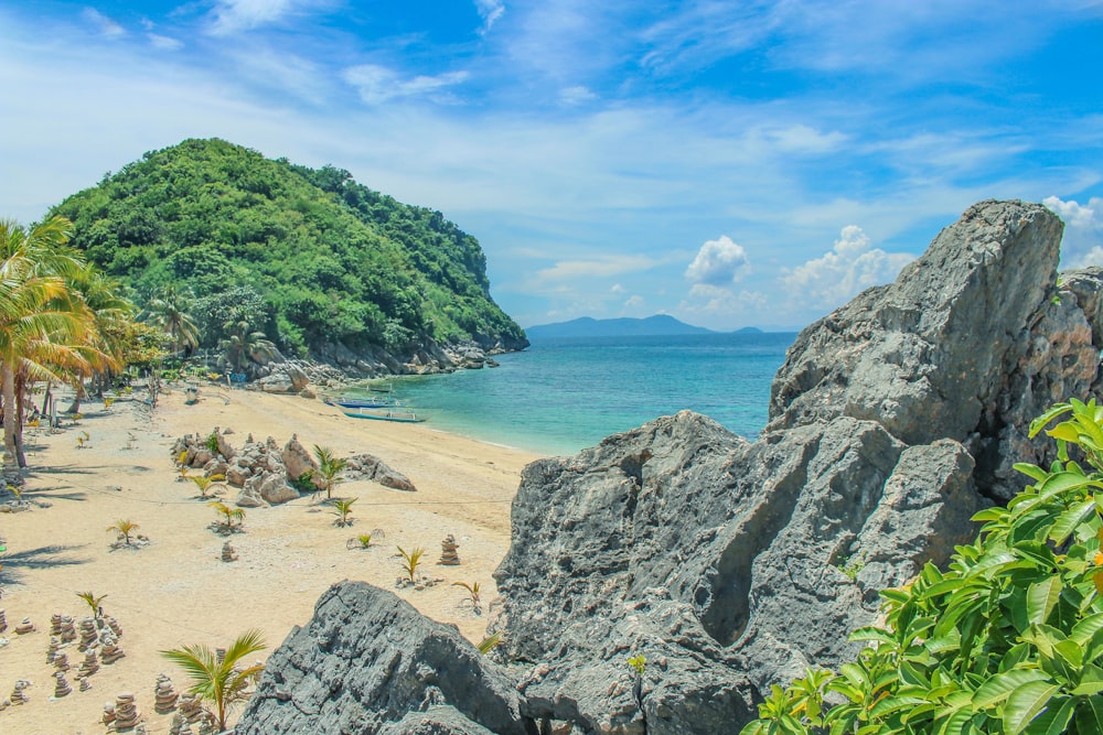 a sandy beach with palm trees and a mountain in the background