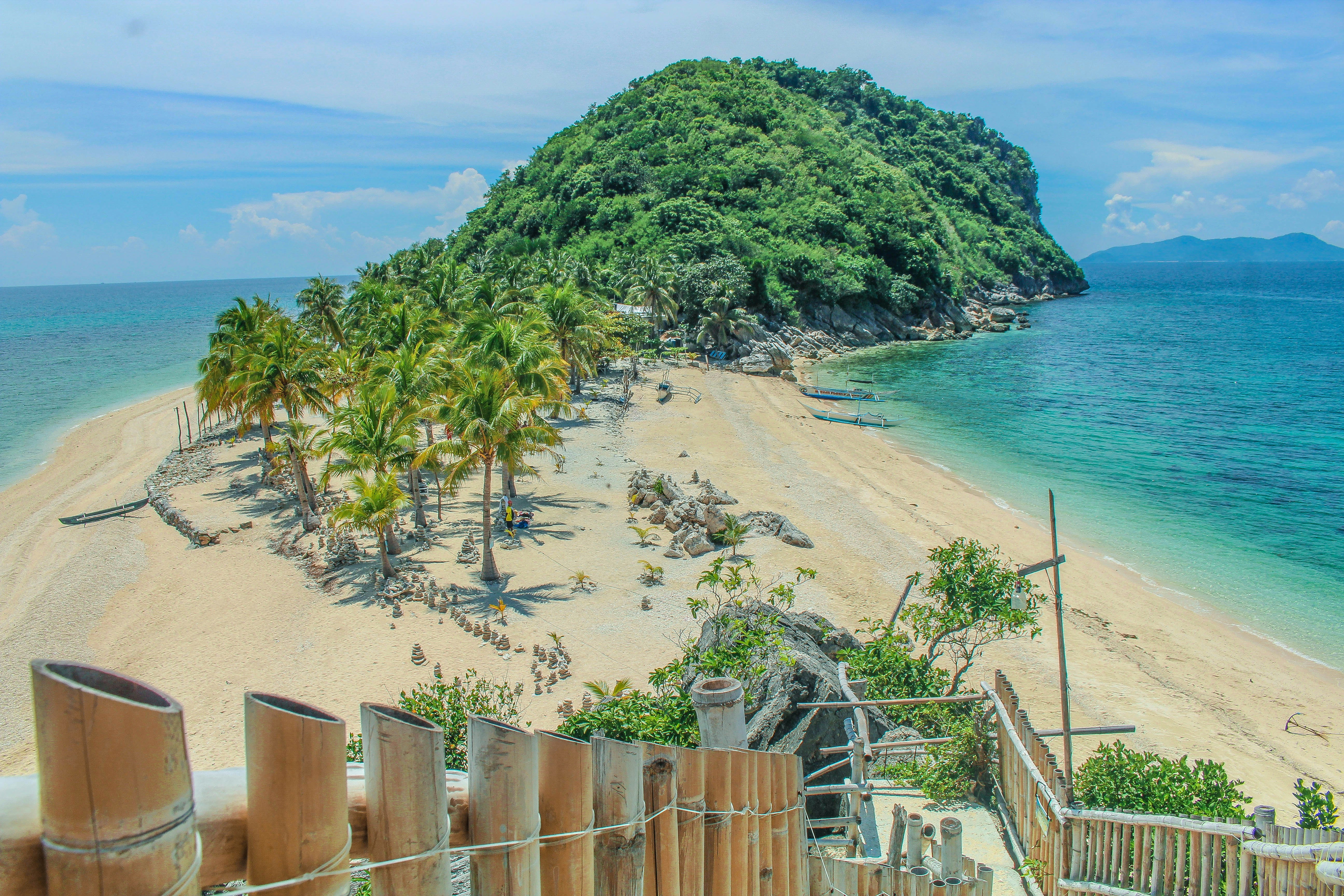 una spiaggia sabbiosa con palme vicino all'oceano