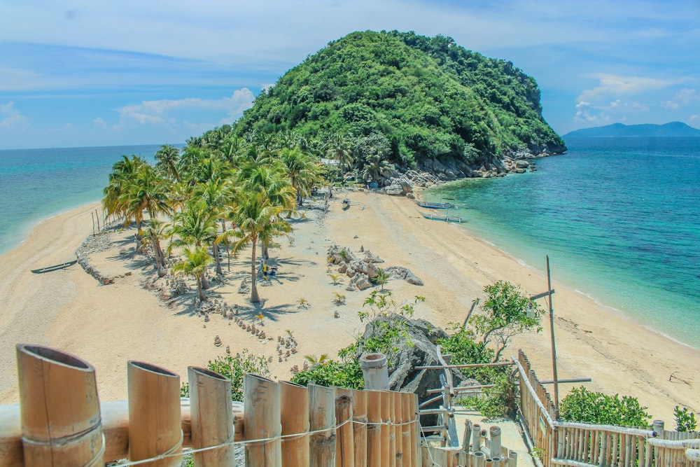 a sandy beach with palm trees next to the ocean