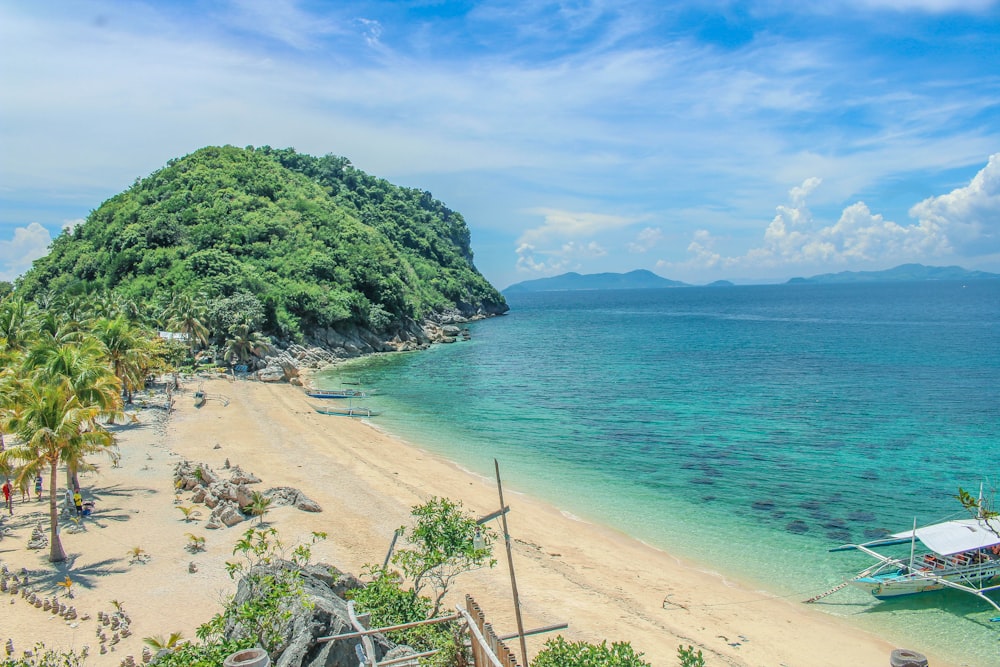 a boat is docked on the shore of a tropical beach