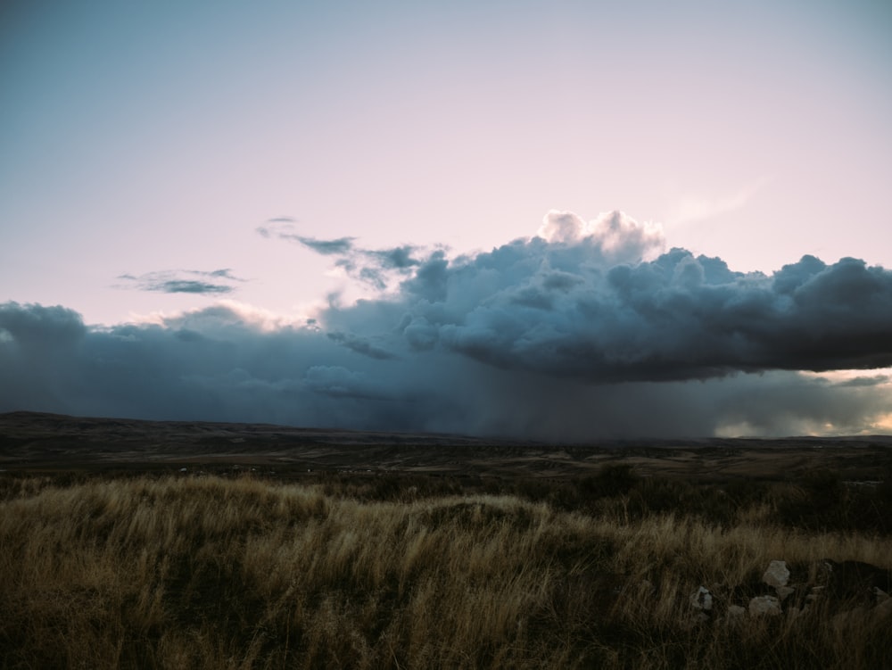 a large cloud is in the sky over a grassy field