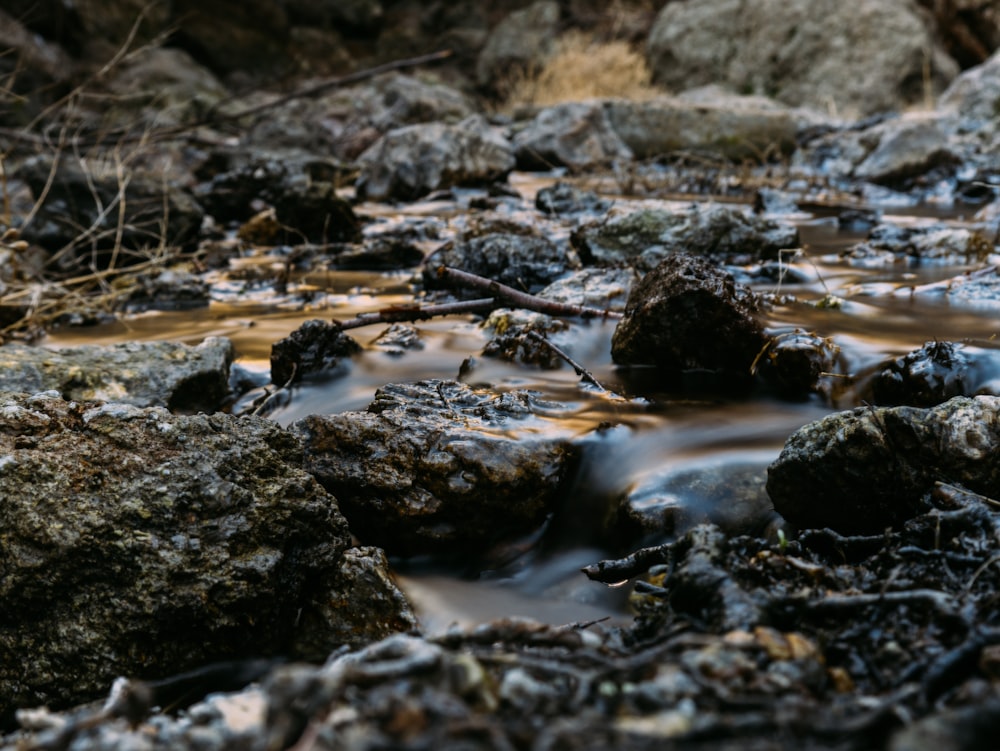 a small stream of water running through a forest