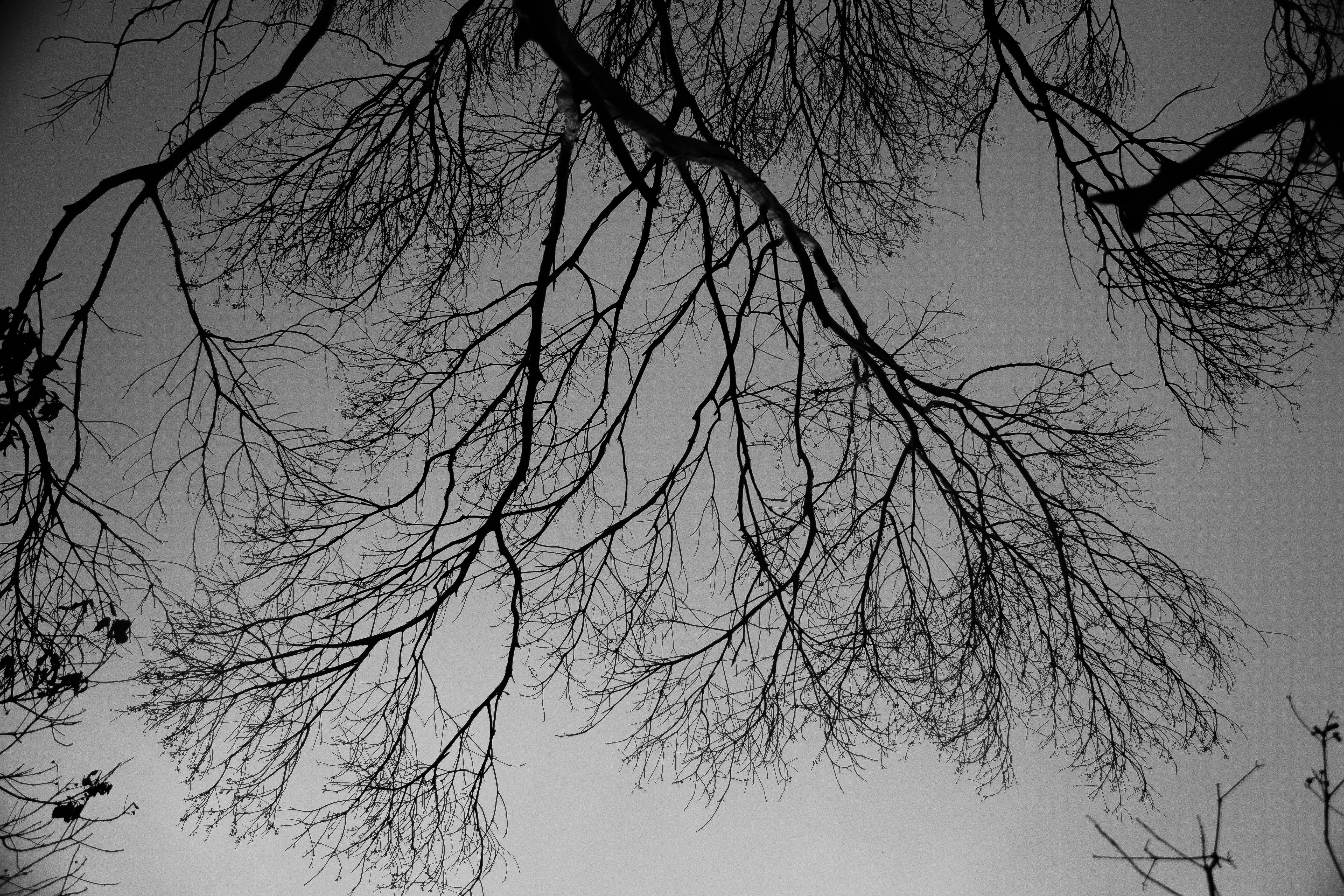 Photo by daniel_sturgess