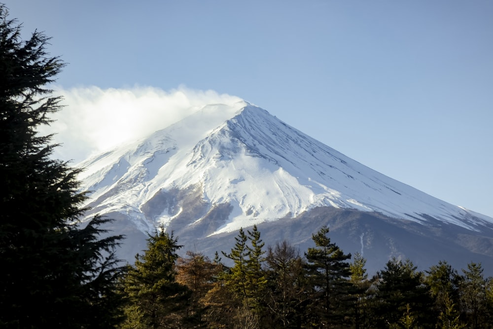 a snow covered mountain surrounded by pine trees