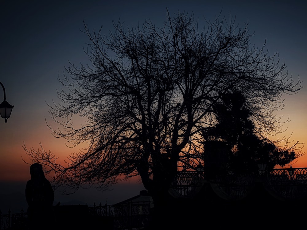 a person standing next to a tree at sunset