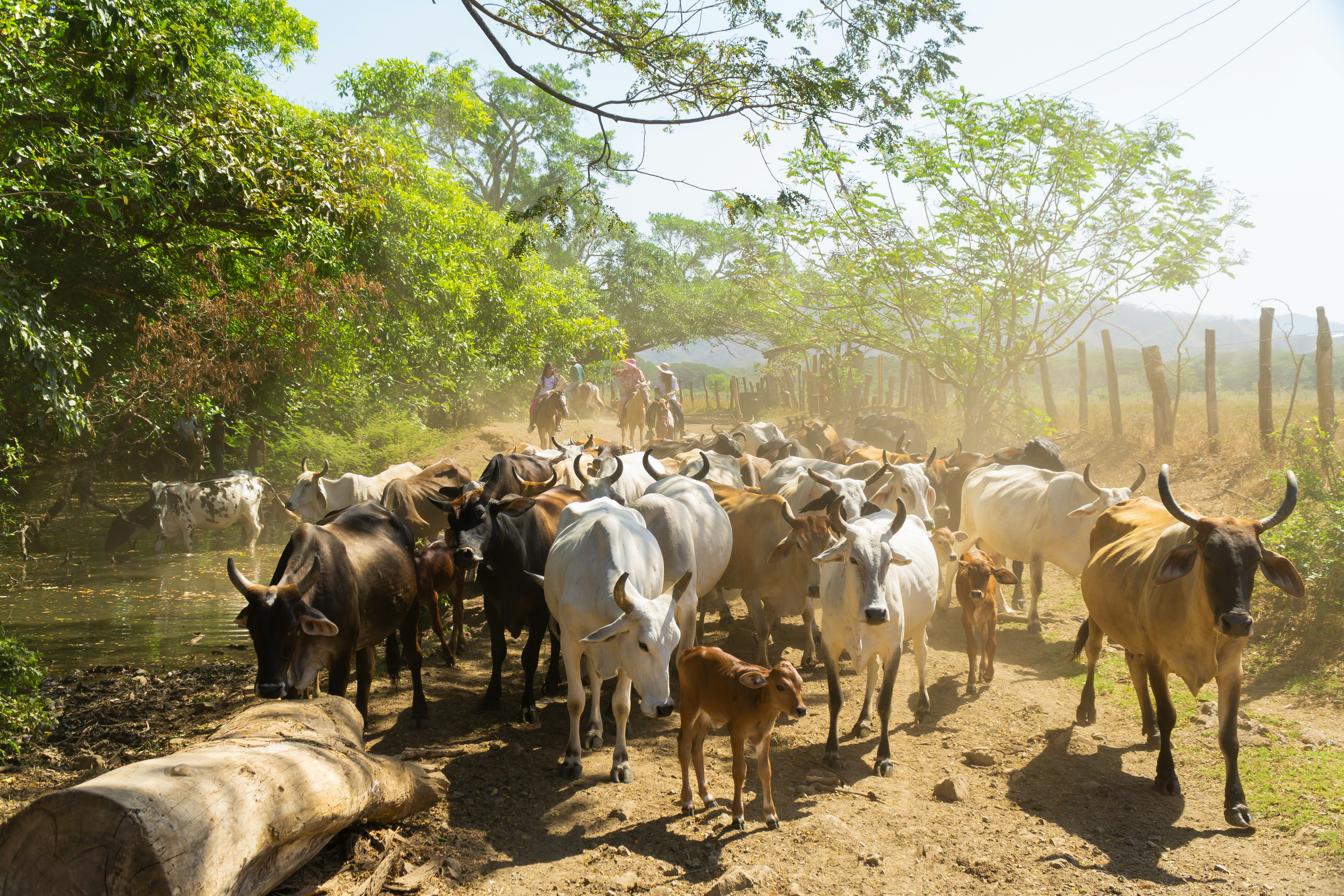 Photo by pineaplerolling