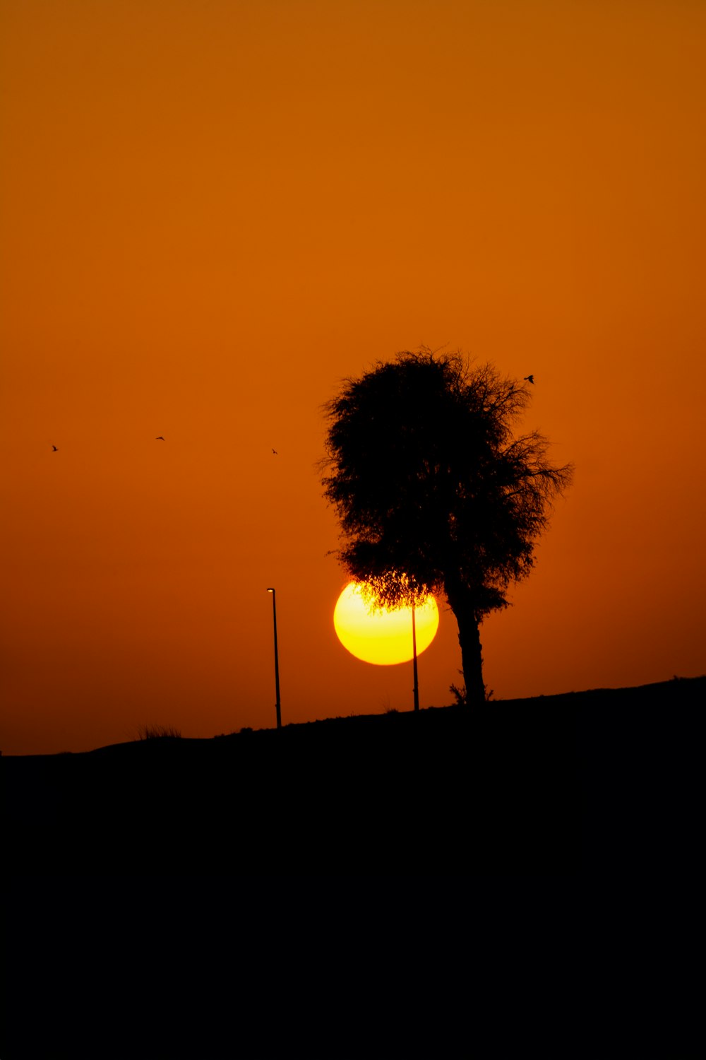 the sun is setting behind a tree on a hill