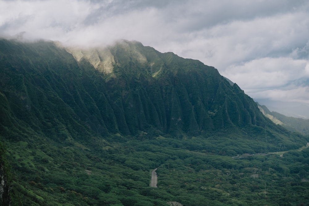 a lush green valley with a mountain in the background