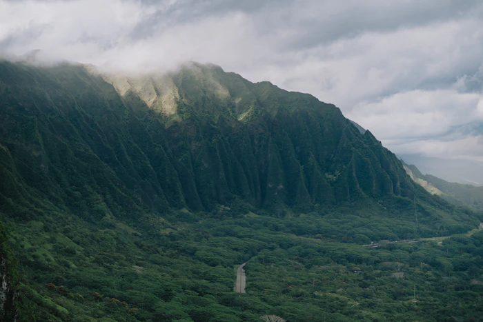 Hidden Attractions
