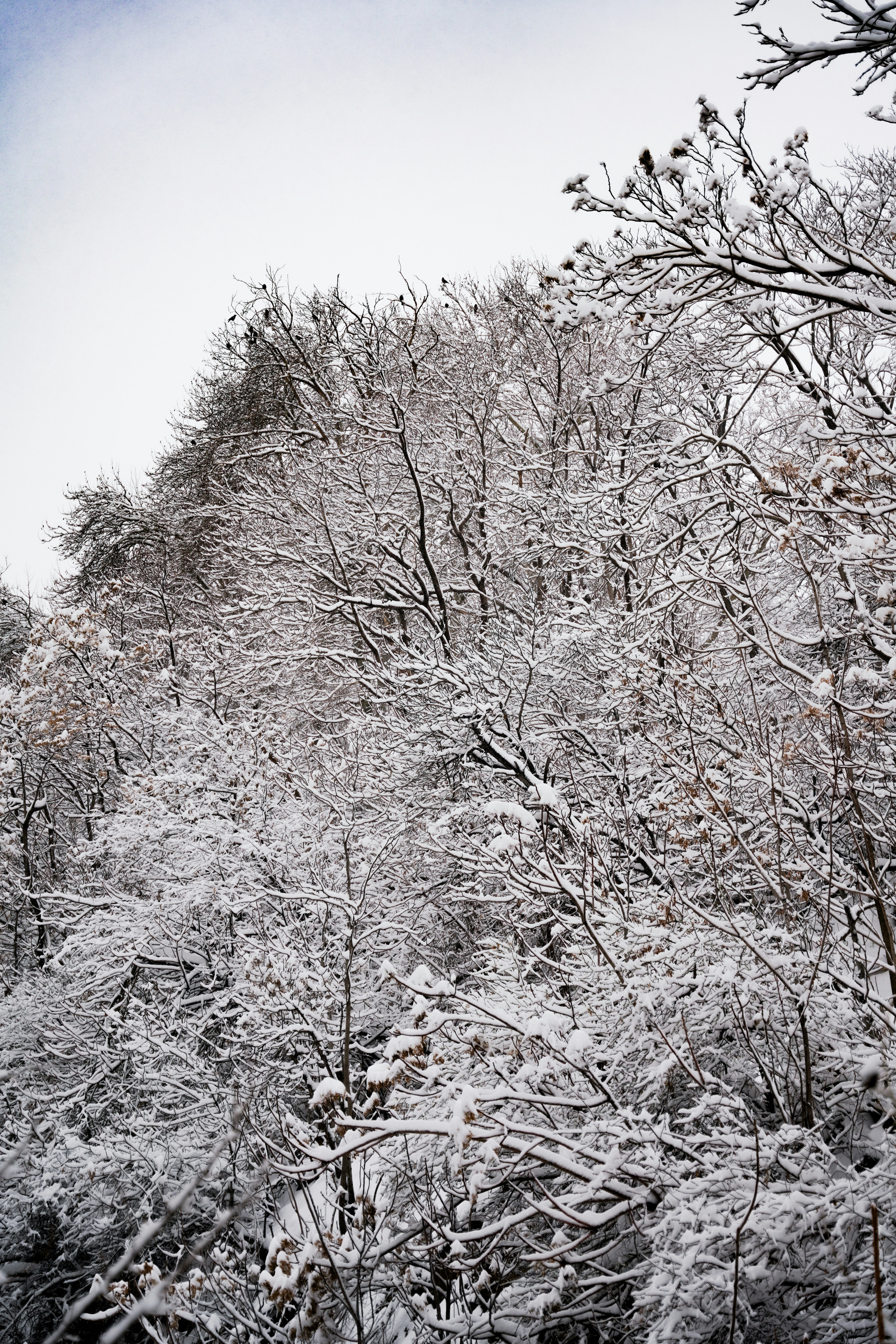 Photo by mahyar_mirghasmi