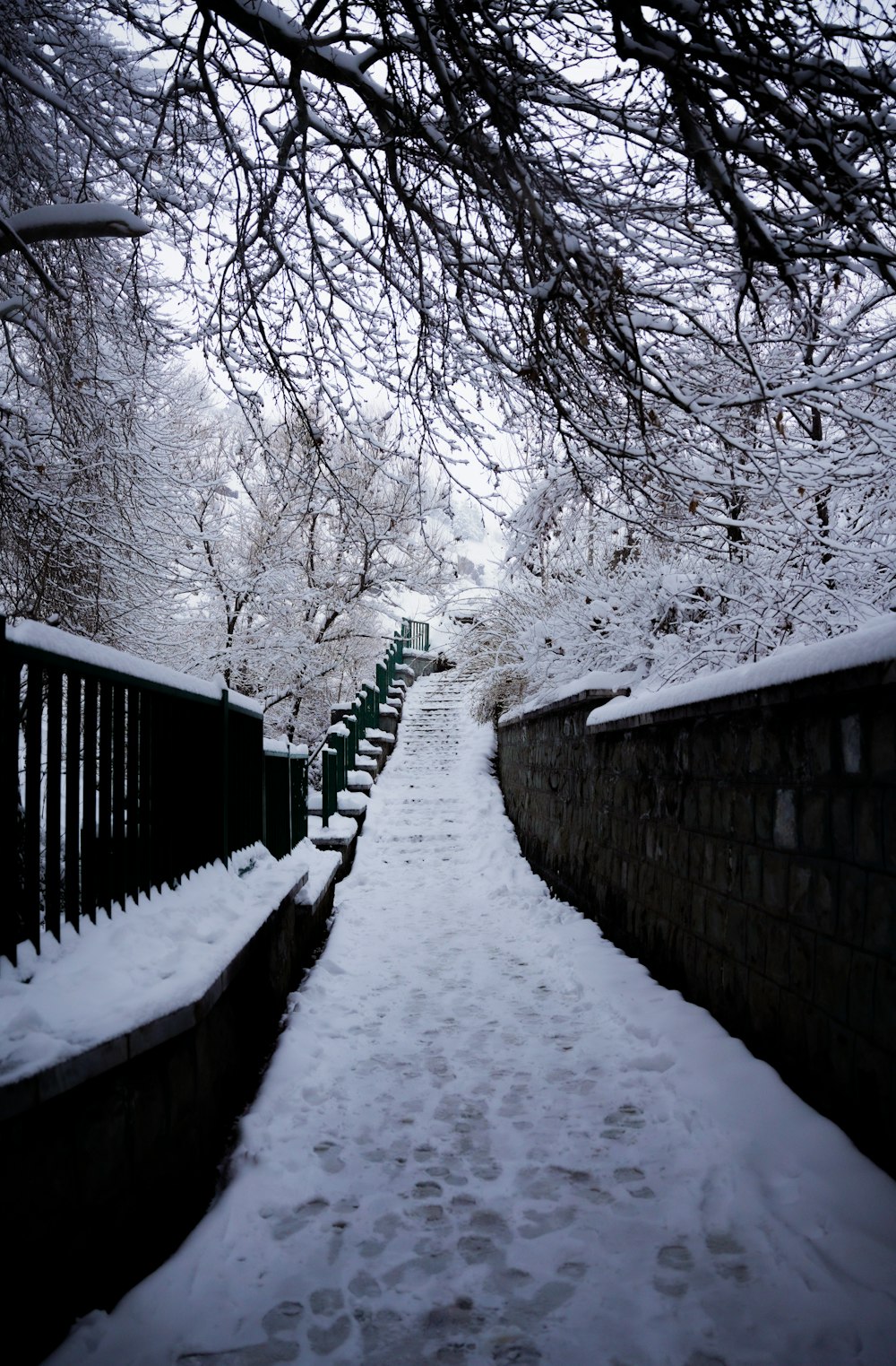 a snowy path with benches and trees on either side