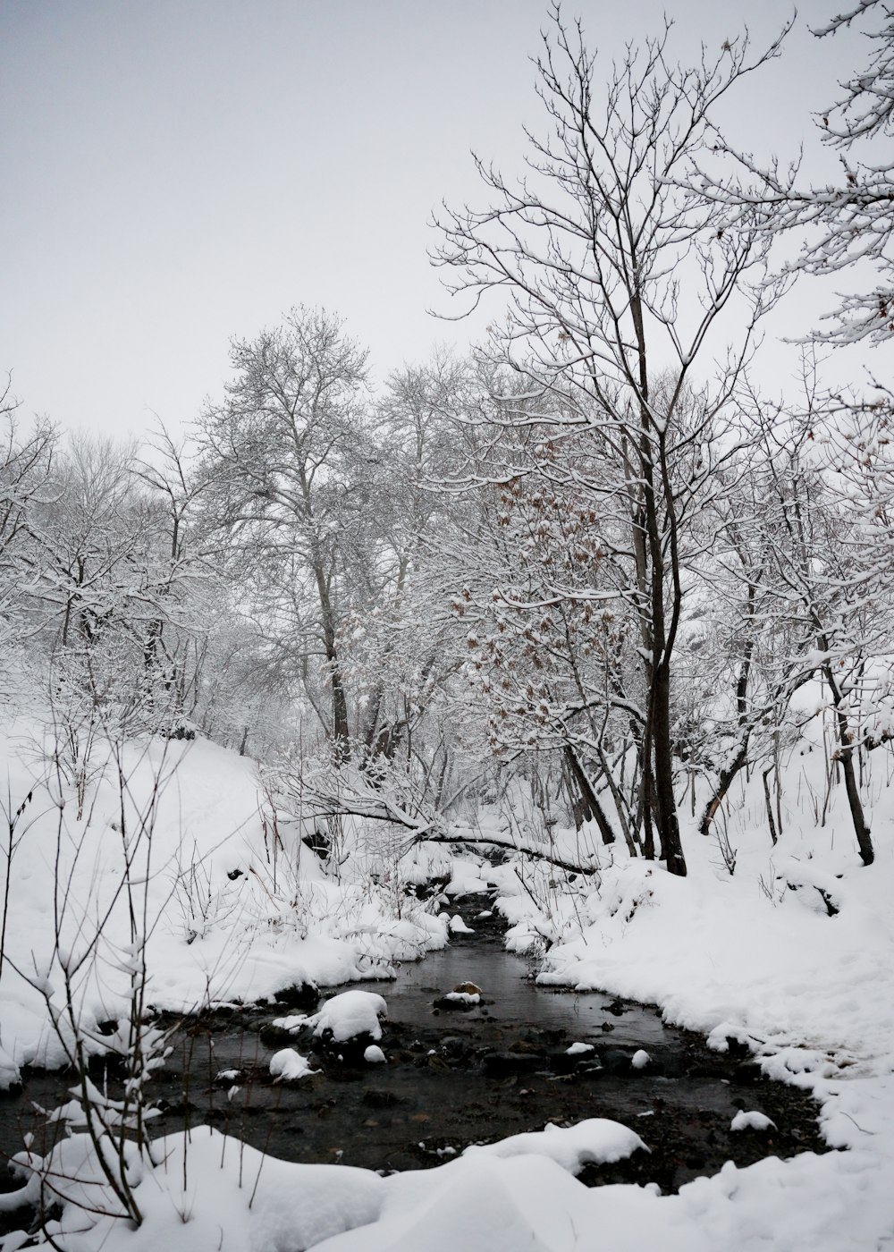 a stream running through a snow covered forest