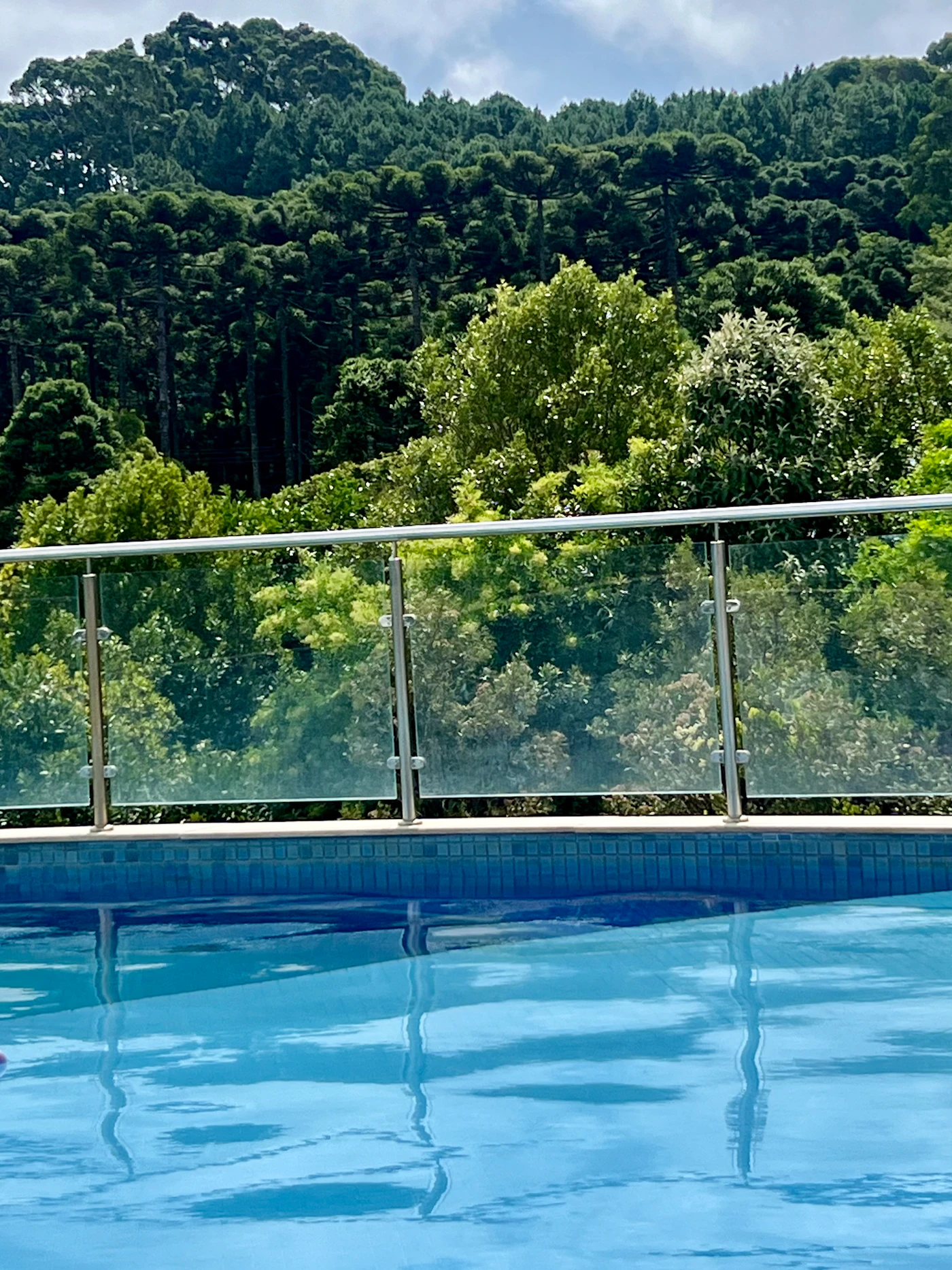 Glass Pool Fencing 101: Safety Codes, Clear Views, and Getting It Right the First Time