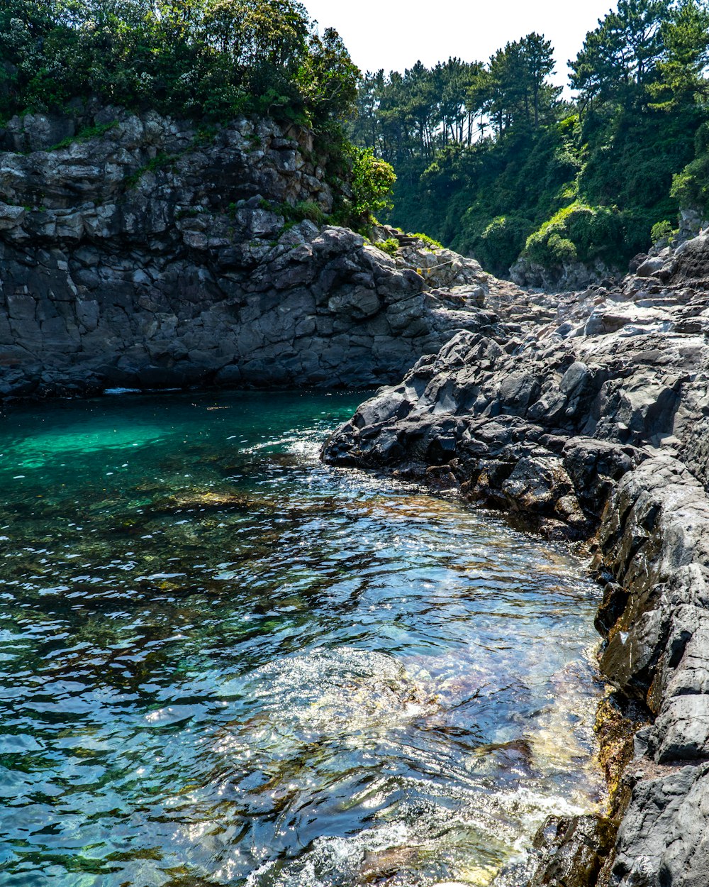 a body of water surrounded by rocks and trees