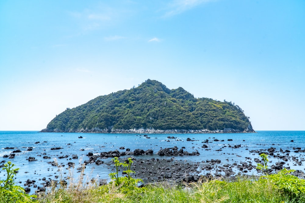 a small island in the middle of a body of water