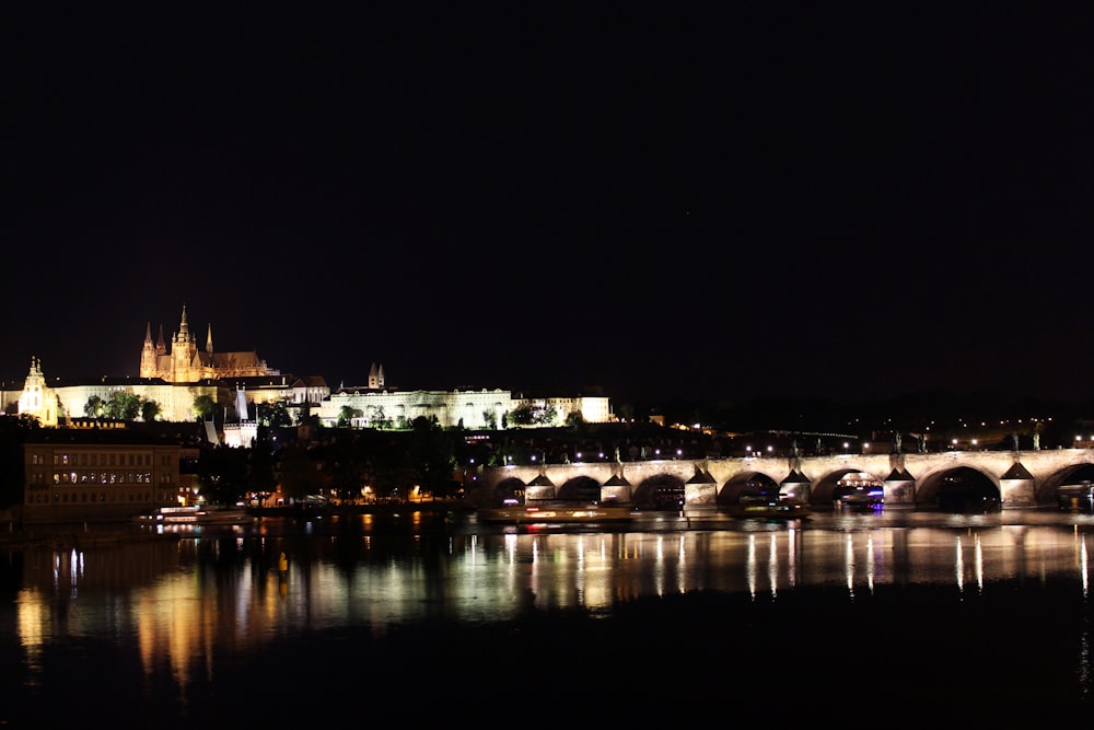 a night view of a bridge and a castle
