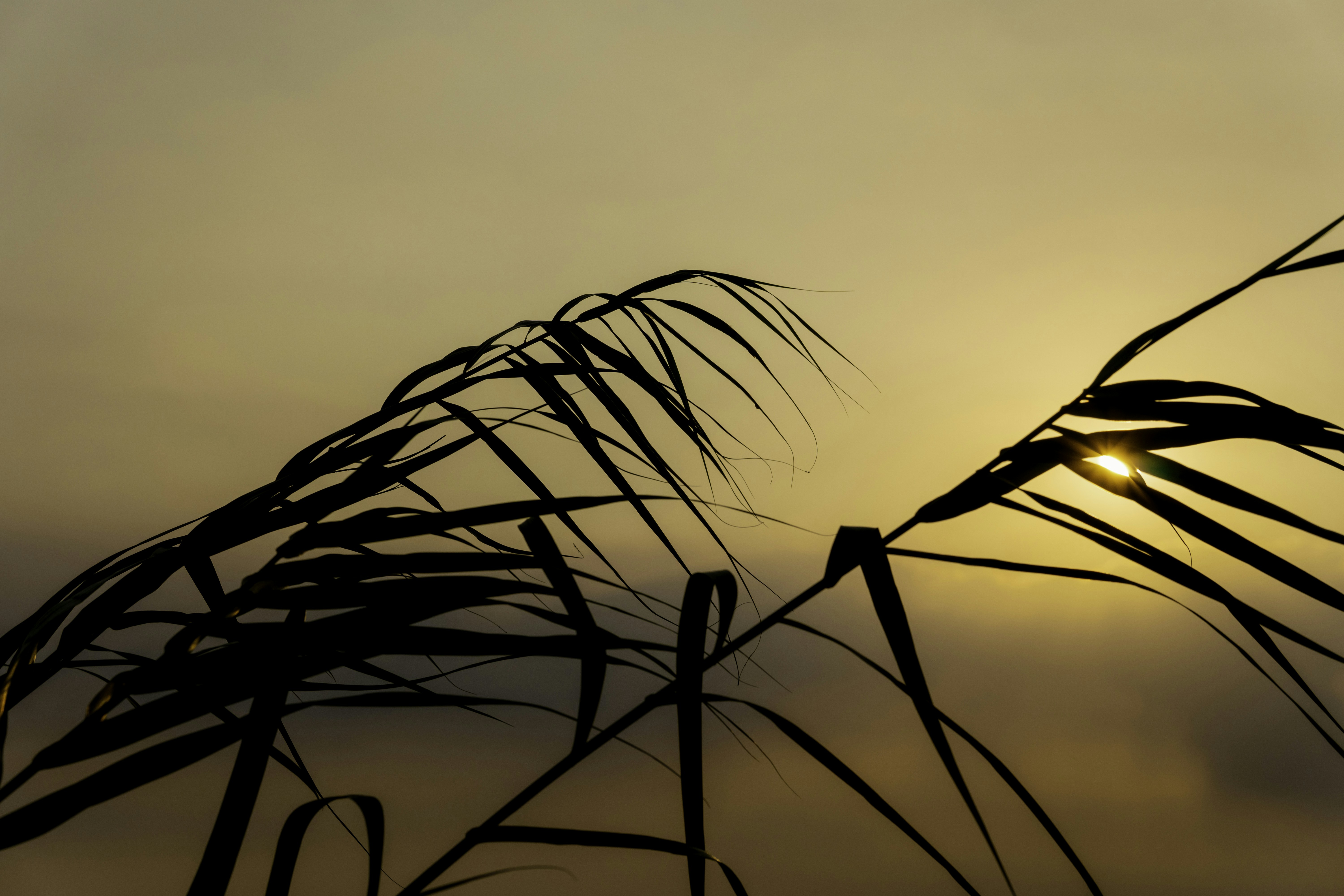 Can Tho – Activities & Attractions