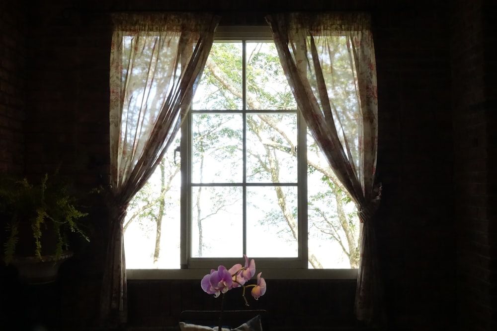a window with curtains and a vase with flowers in it