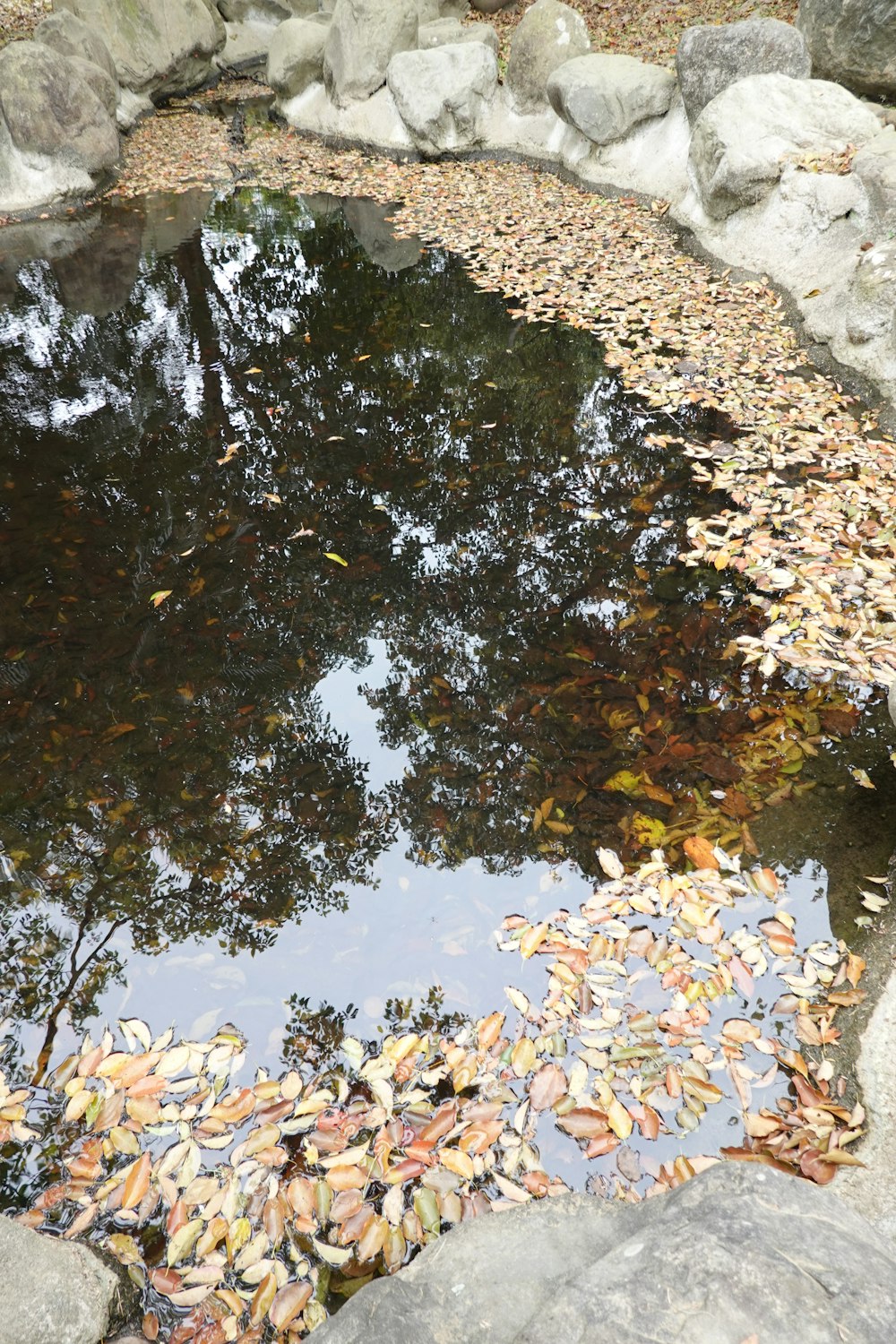 a pond filled with lots of water surrounded by rocks