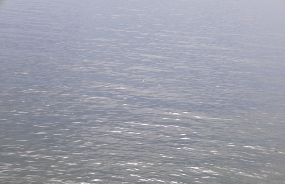 a man riding a surfboard on top of a body of water