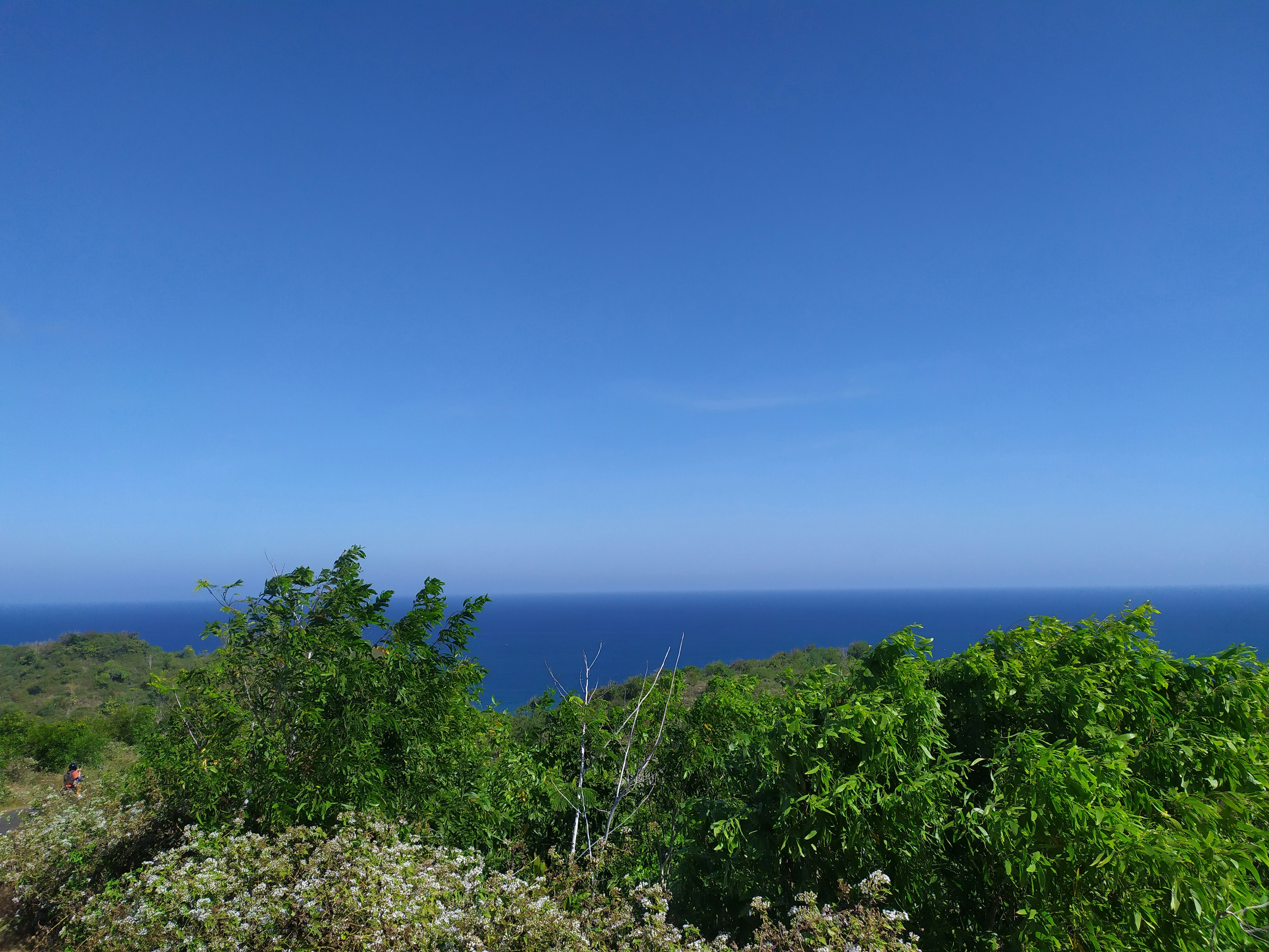 a view of the ocean from the top of a hill