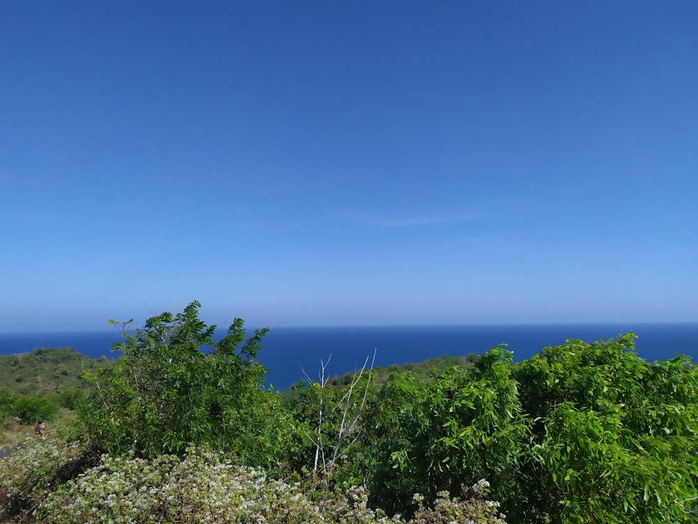 a view of the ocean from the top of a hill