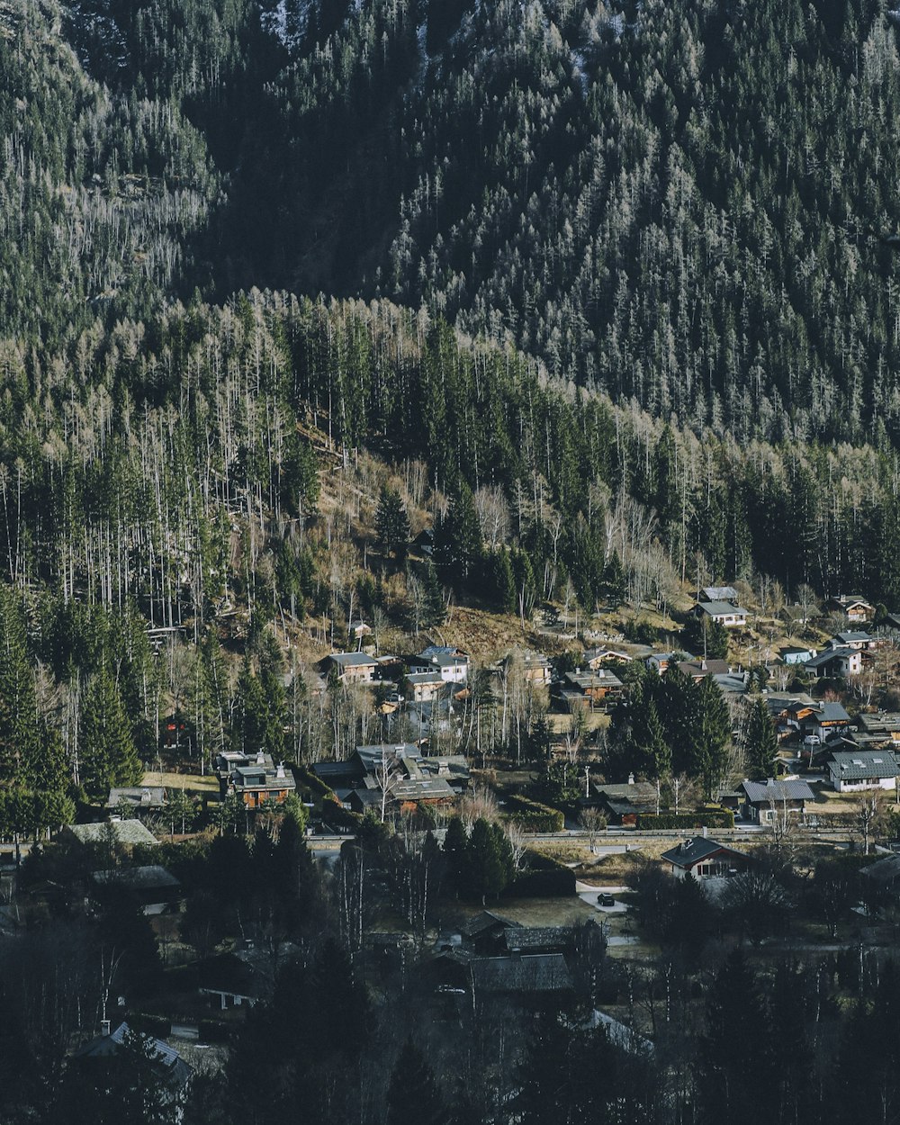 a small village nestled in the middle of a forest