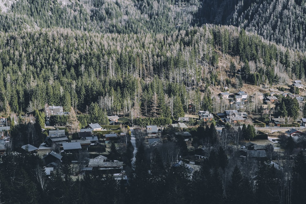 an aerial view of a village surrounded by trees