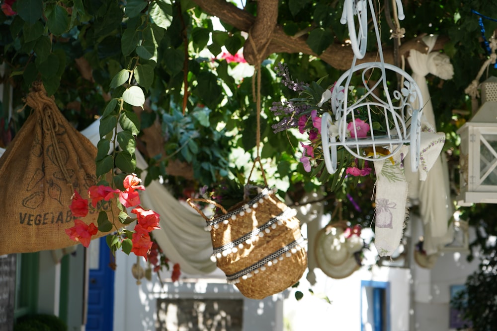 a bunch of baskets hanging from a tree