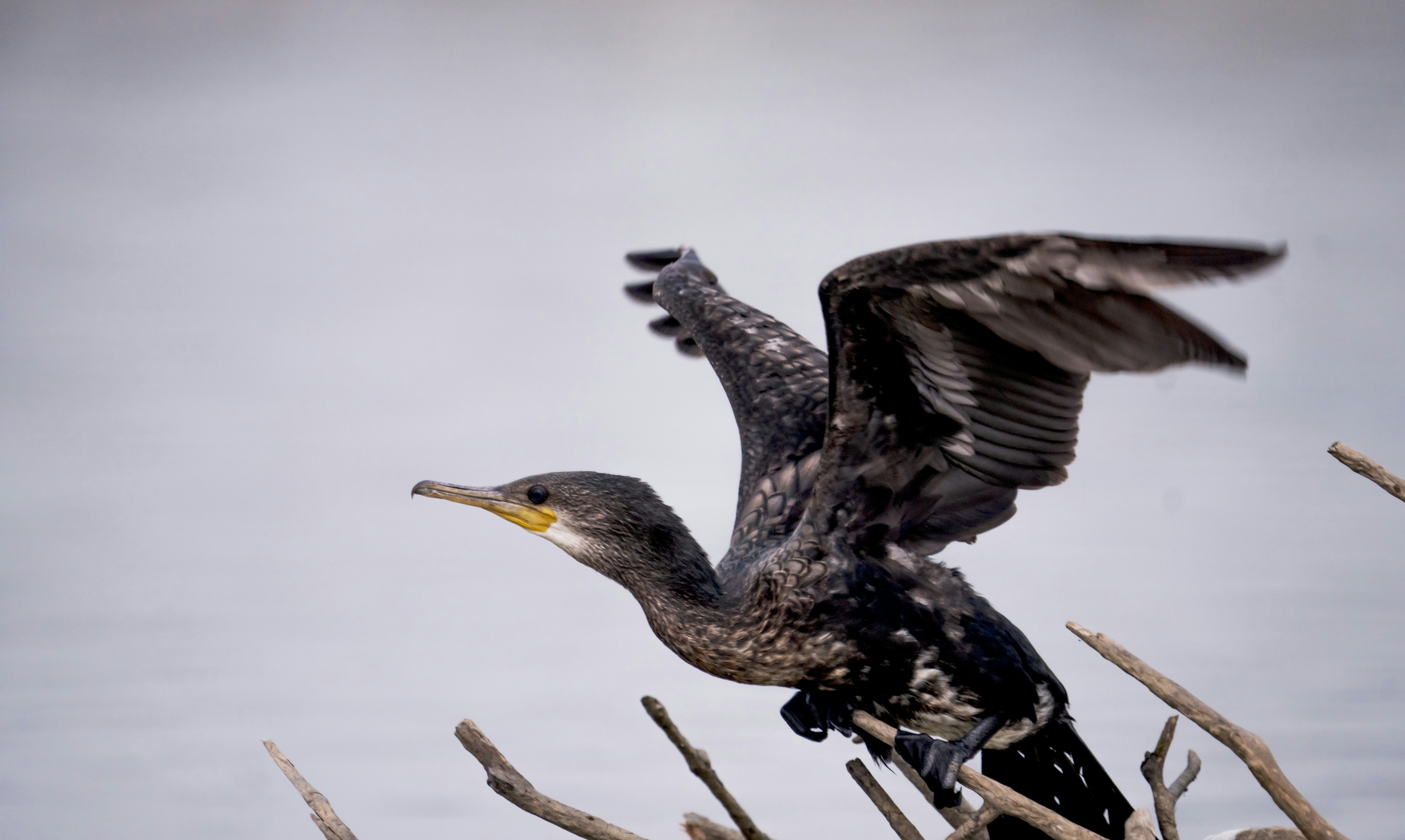 Photo by mhphotography13