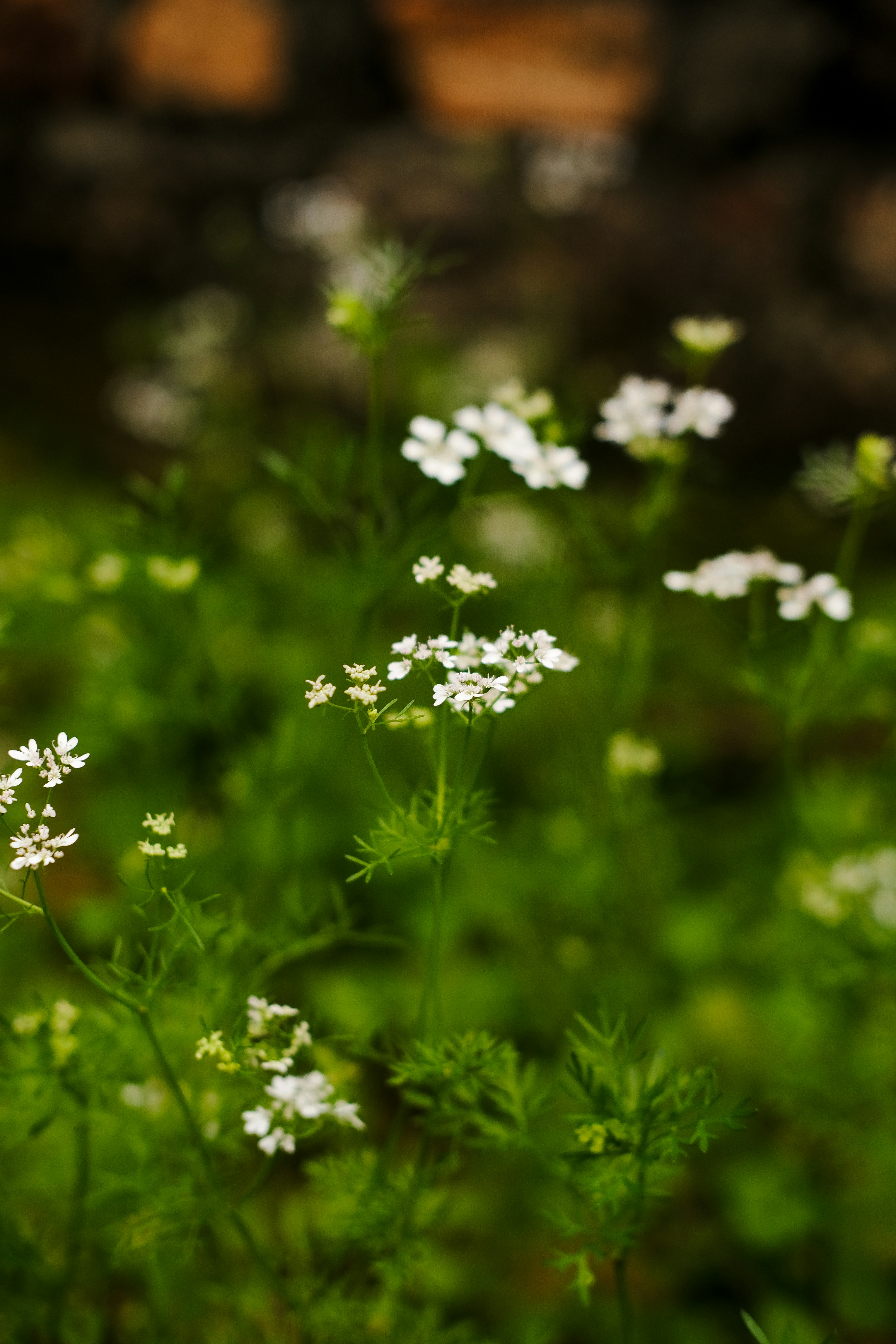 Photo by nganduong93