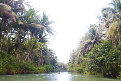 Maron River, East Java — clean Indonesian river restored