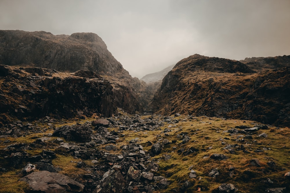 a rocky mountain landscape with grass and rocks