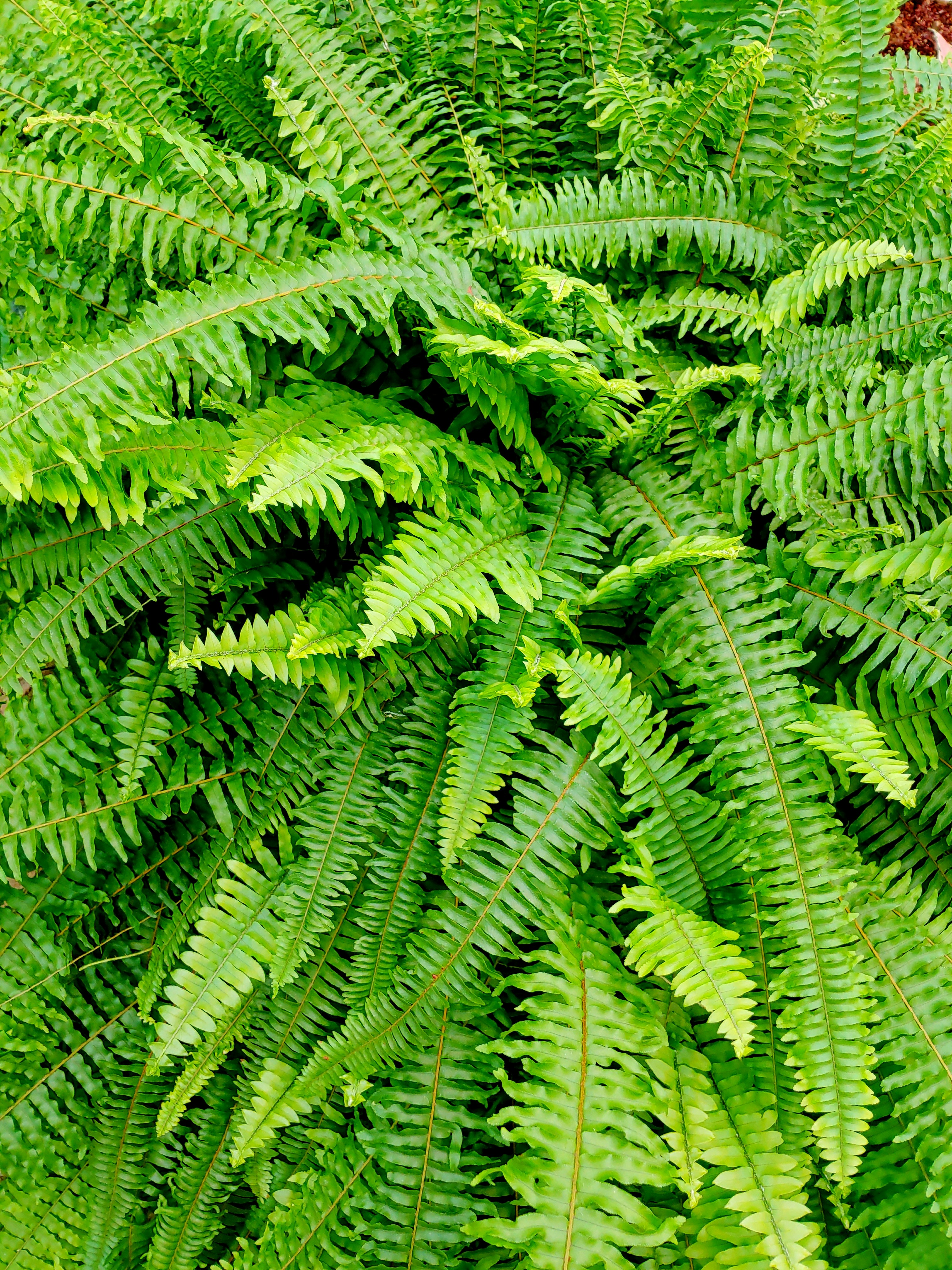 Photo by jujuworld76