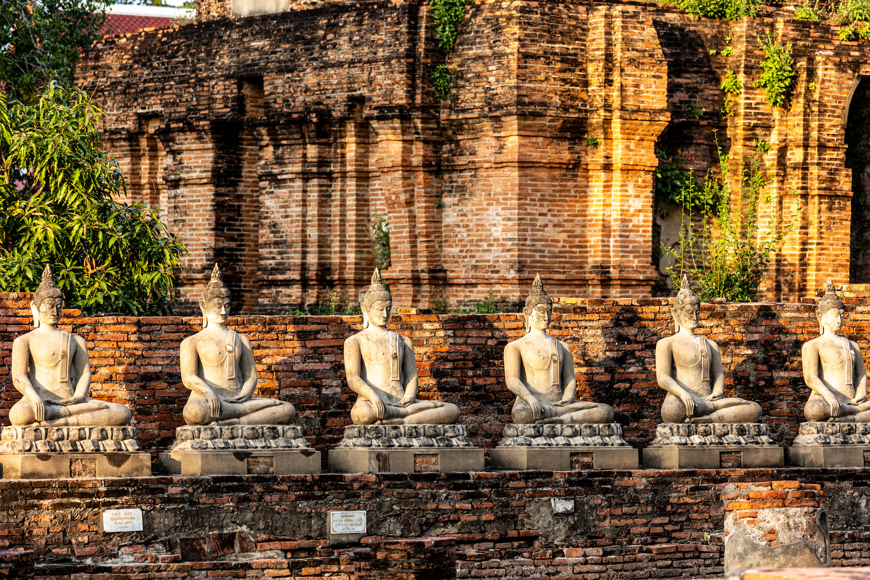 Reihe von Buddhastatuen auf einer Mauer im Wat Yai Chai Mongkhon