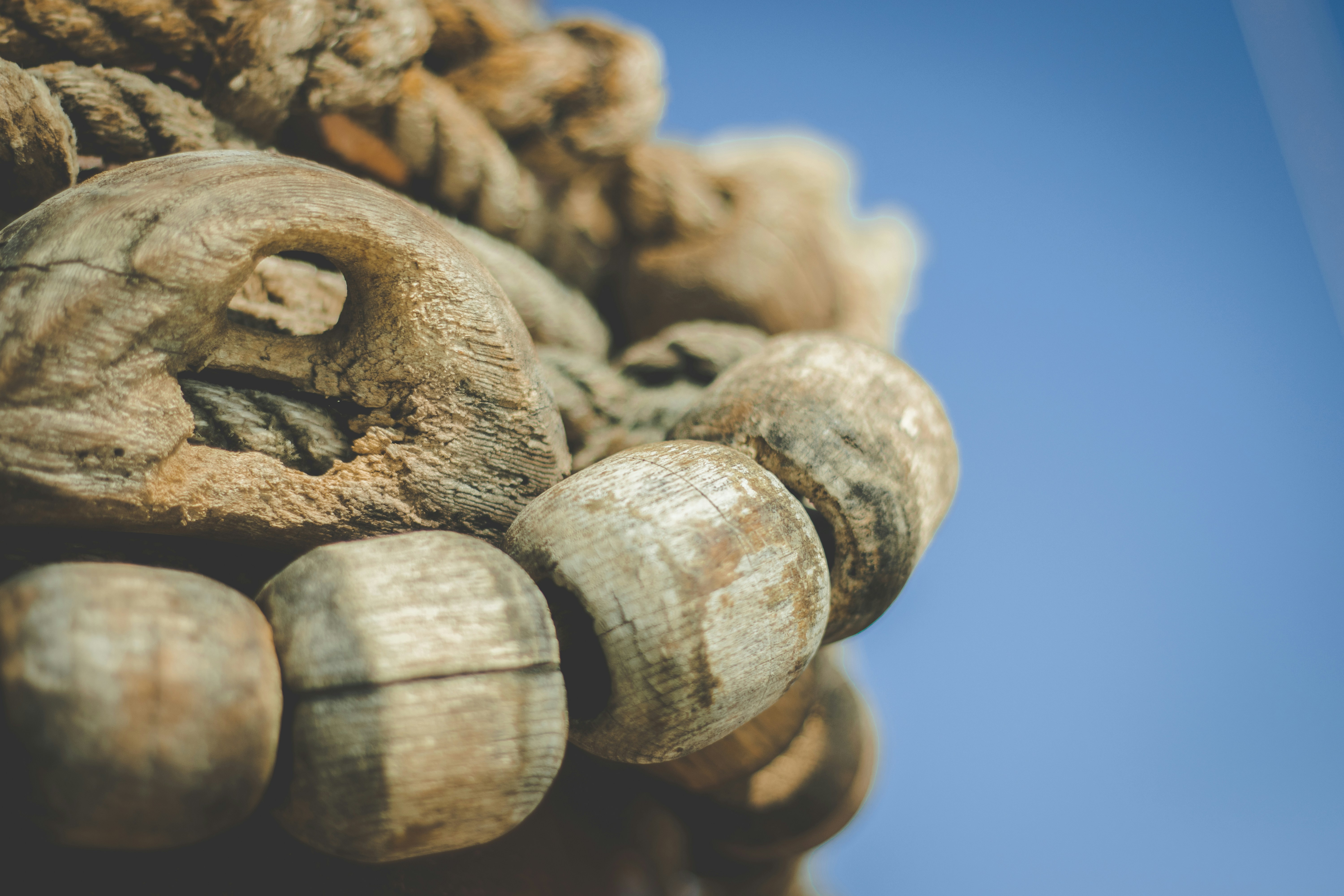 Photo by kattavonben